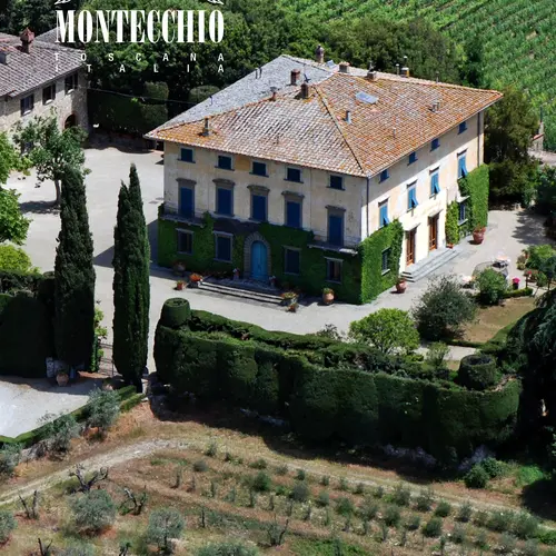 Bibendum Fattoria Montecchio