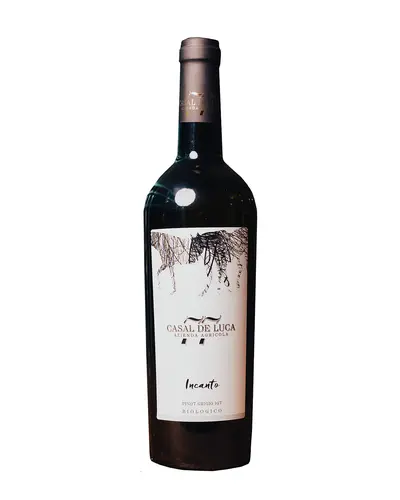 Incanto Pinot Grigio IGP Lazio