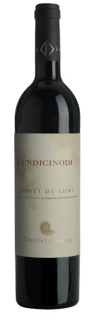 UNDICINODI-2