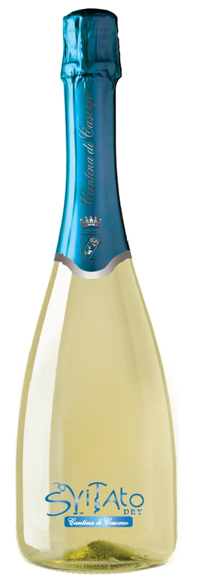 Spumante Dry "Svitato"-1