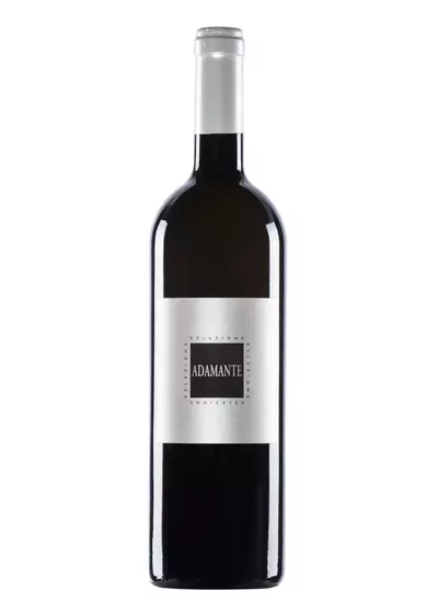 Chardonnay  - Montenetto I.G.T. ADAMANTE-1
