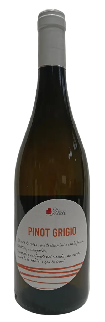 Pinot Grigio D.O.C. Friuli