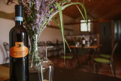 Grignolino d' Asti doc-1