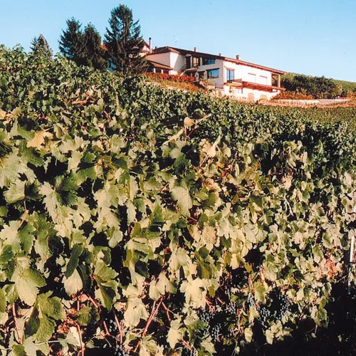 CASCINA GIOVINALE