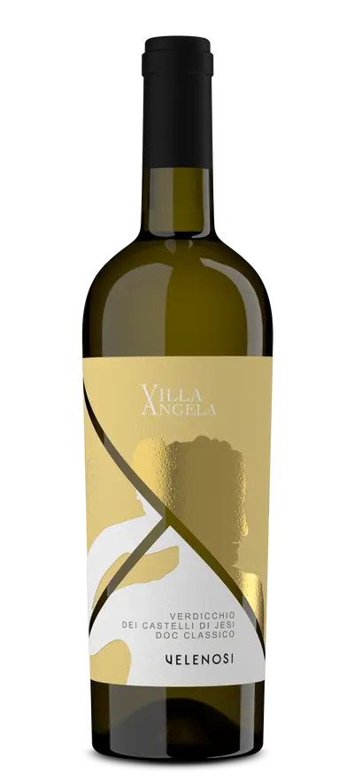 Villa Angela Verdicchio Castelli di Jesi-1