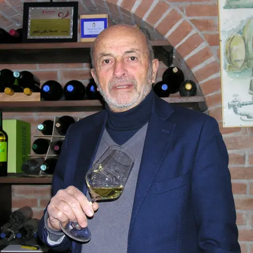 CANTINA ENZO MECELLA