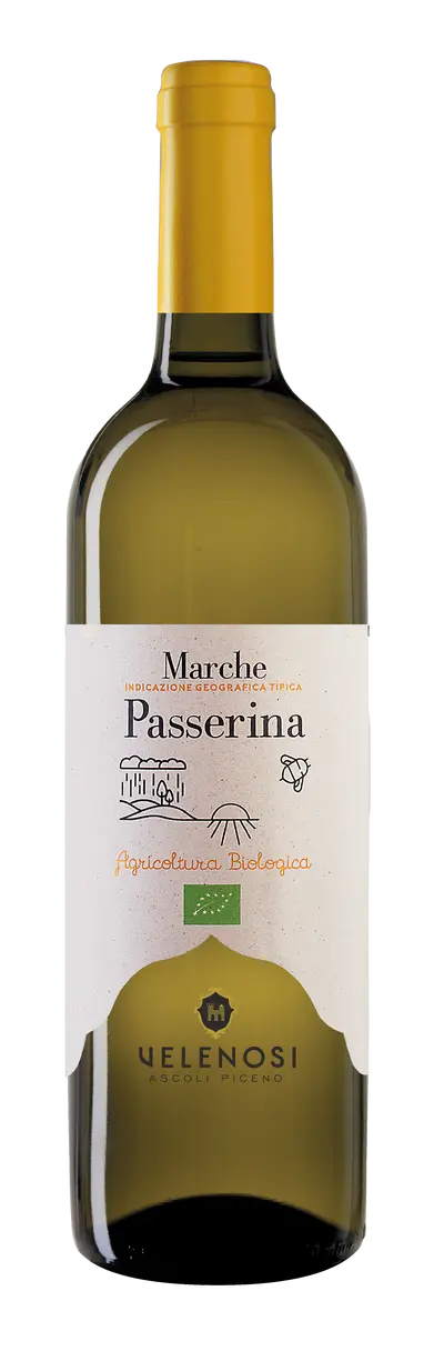 Linea Bio Marche Igt Passerina-1