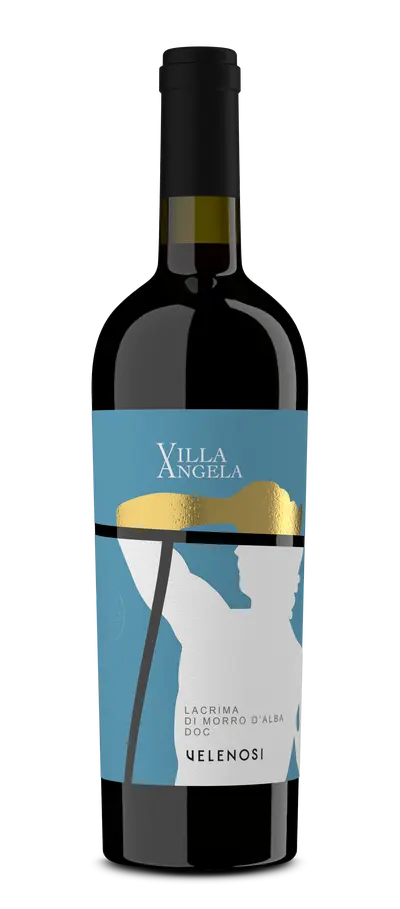 Villa Angela Lacrima di Morro d'Alba DOC