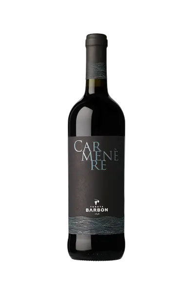 CARMENERE IGT MARCA TREVIGIANA